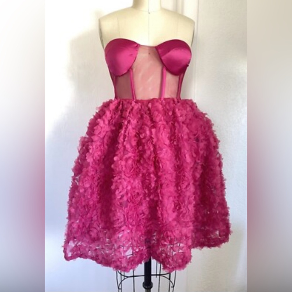 NWOT Faeriesty Women’s Sheer Bustier Pink Dress